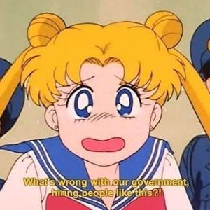 Meet your Posher, Haley